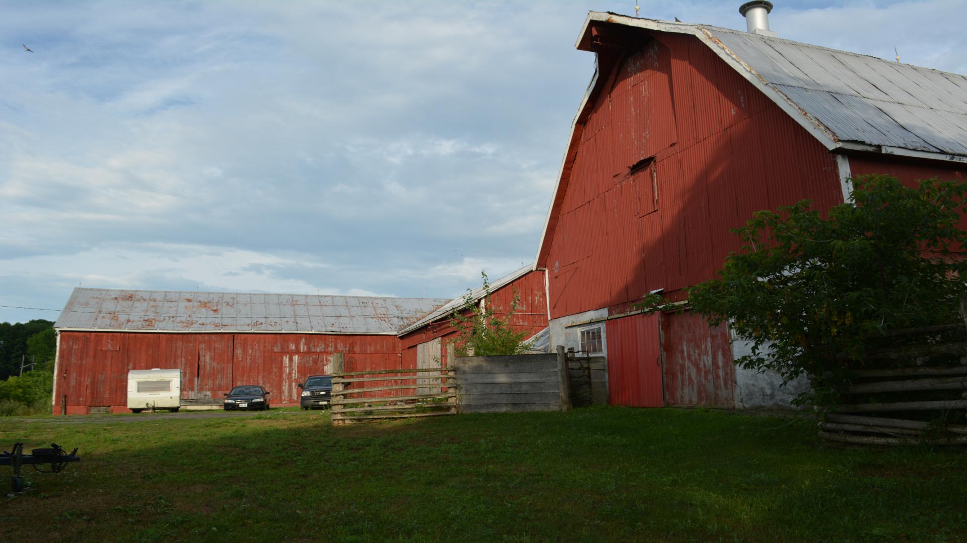 308 Bridge St W Trent Hills, Ontario K0L 1L0 - Barn